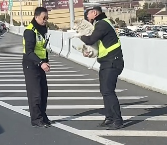 事发上海高架，这位交警也太温柔了吧！全网在找，后续来了