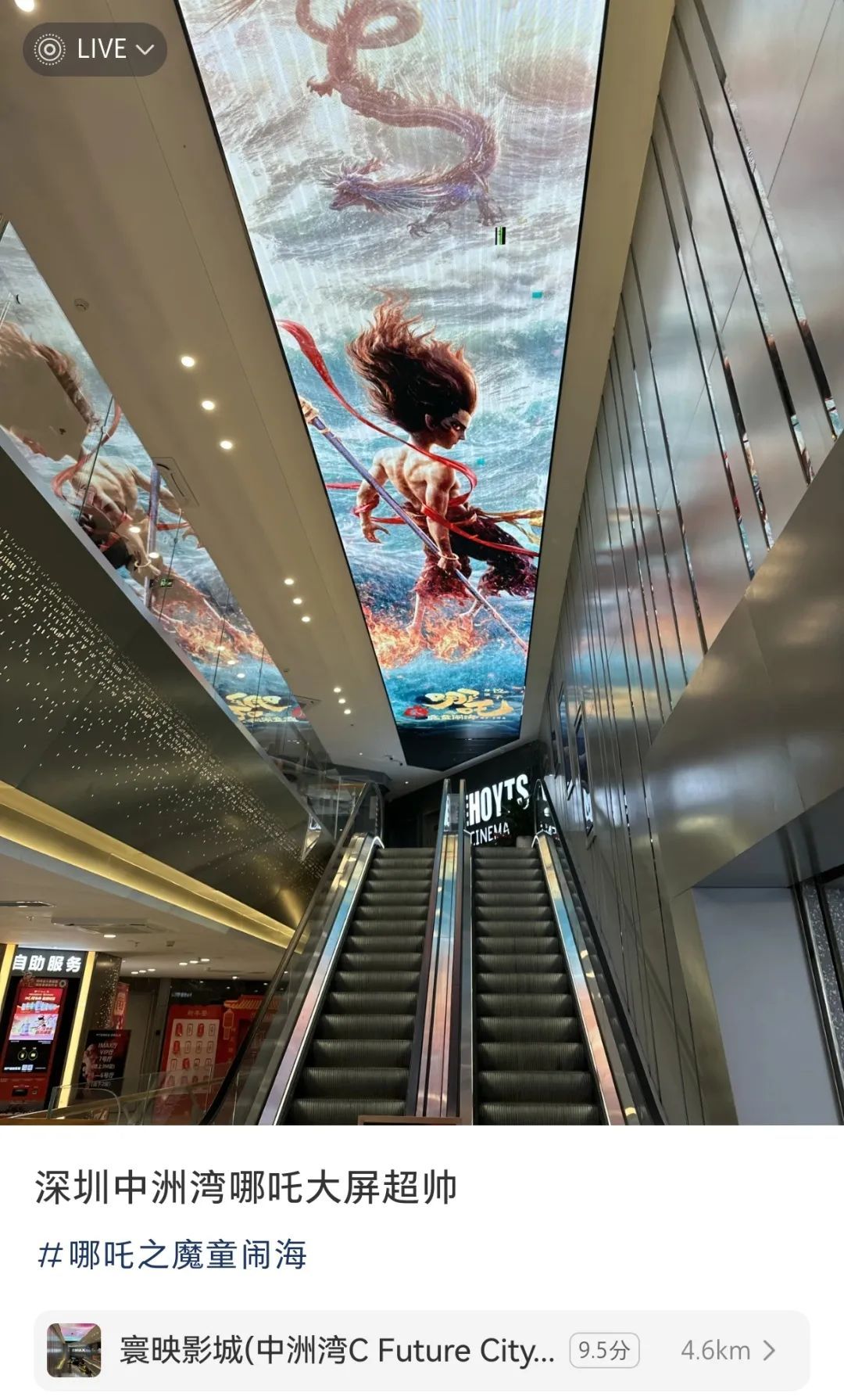 深圳街头都被吒儿“攻陷”啦！