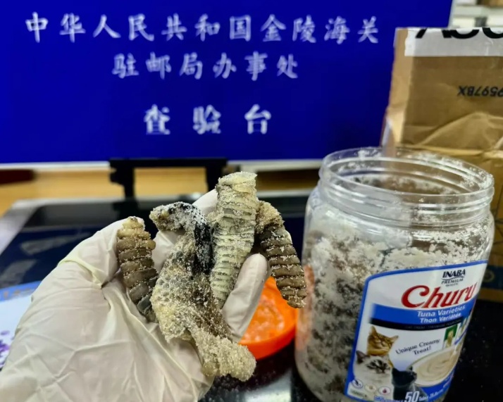 海关查获1.2公斤生腌响尾蛇,网友懵了:啊?生腌什么...... 海关查获1.2公斤生腌响尾蛇,网友懵了:啊?生腌什么......