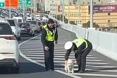 事发上海高架，这位交警也太温柔了吧！全网在找，后续来了
