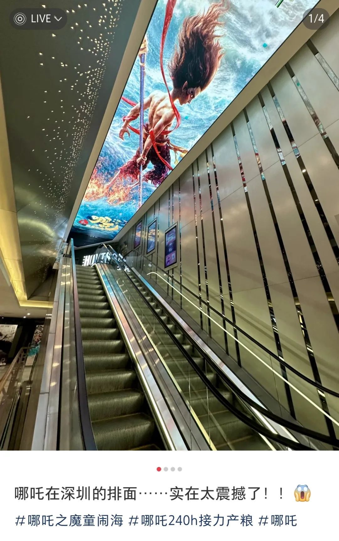 深圳街头都被吒儿“攻陷”啦！