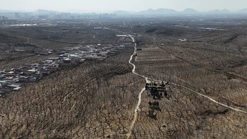 康熙第十五子的墓碑残件,被做成“衣帽架”在798展览?专家初判 康熙第十五子的墓碑残件,被做成“衣帽架”在798展览?专家初判