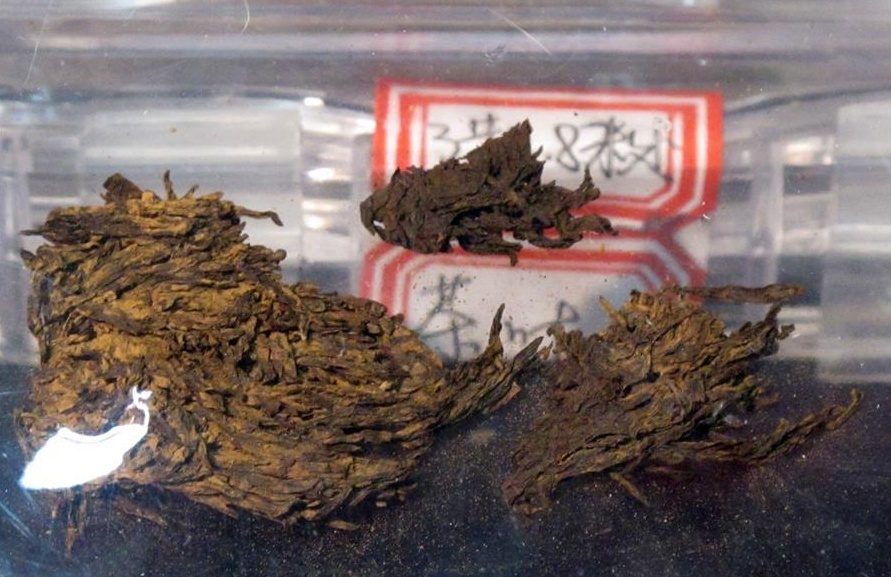 似曾相识,“复盘”古人的春游 似曾相识,“复盘”古人的春游