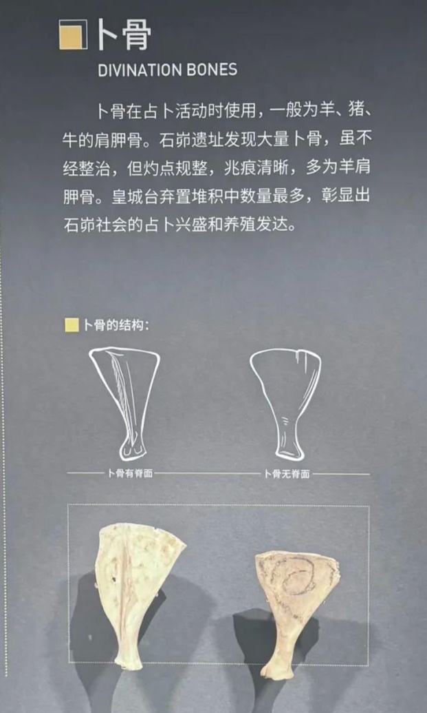 似曾相识,“复盘”古人的春游 似曾相识,“复盘”古人的春游