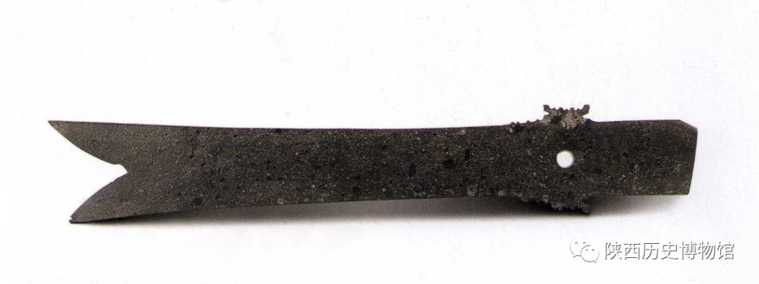 似曾相识,“复盘”古人的春游 似曾相识,“复盘”古人的春游