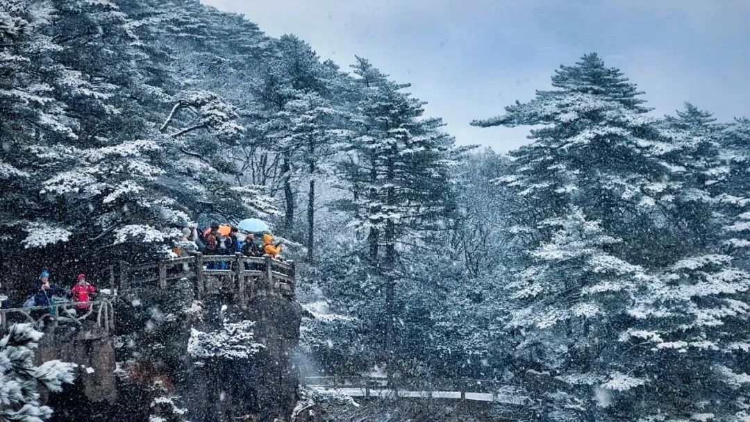 速报！这里下雪了！安徽雨雪最新消息