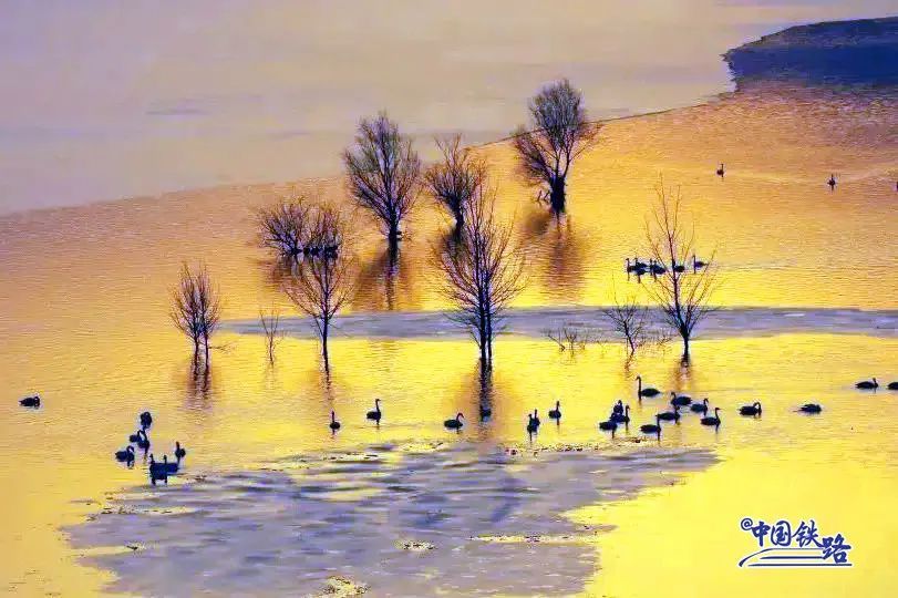 特别顺！T6666次经过洛阳！