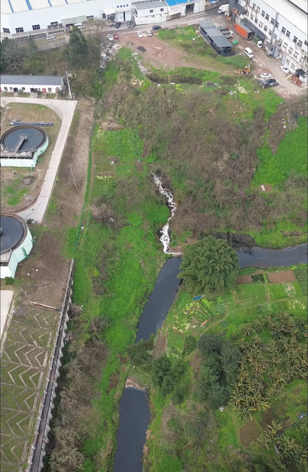 博主反映有黑臭水排入长江？最新通报：情况基本属实