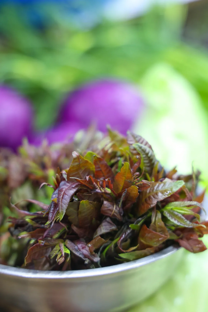 雨水节气“七头一脑”上新，哪一道是你的菜？