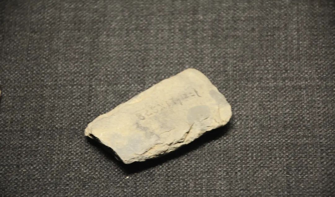 似曾相识,“复盘”古人的春游 似曾相识,“复盘”古人的春游