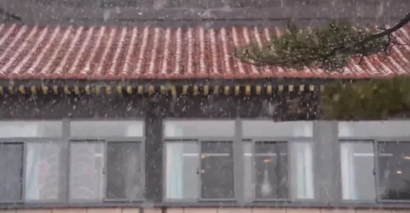 安徽这里下雪了!还有中到大雪! 安徽这里下雪了!还有中到大雪!