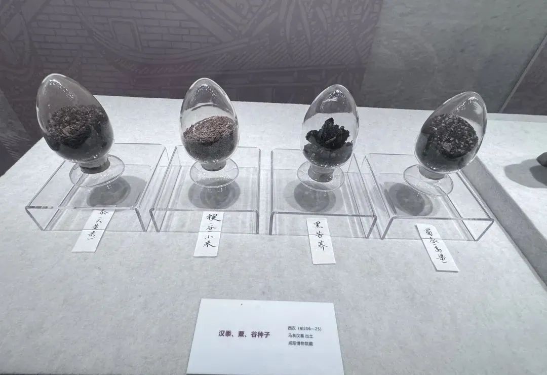 似曾相识,“复盘”古人的春游 似曾相识,“复盘”古人的春游