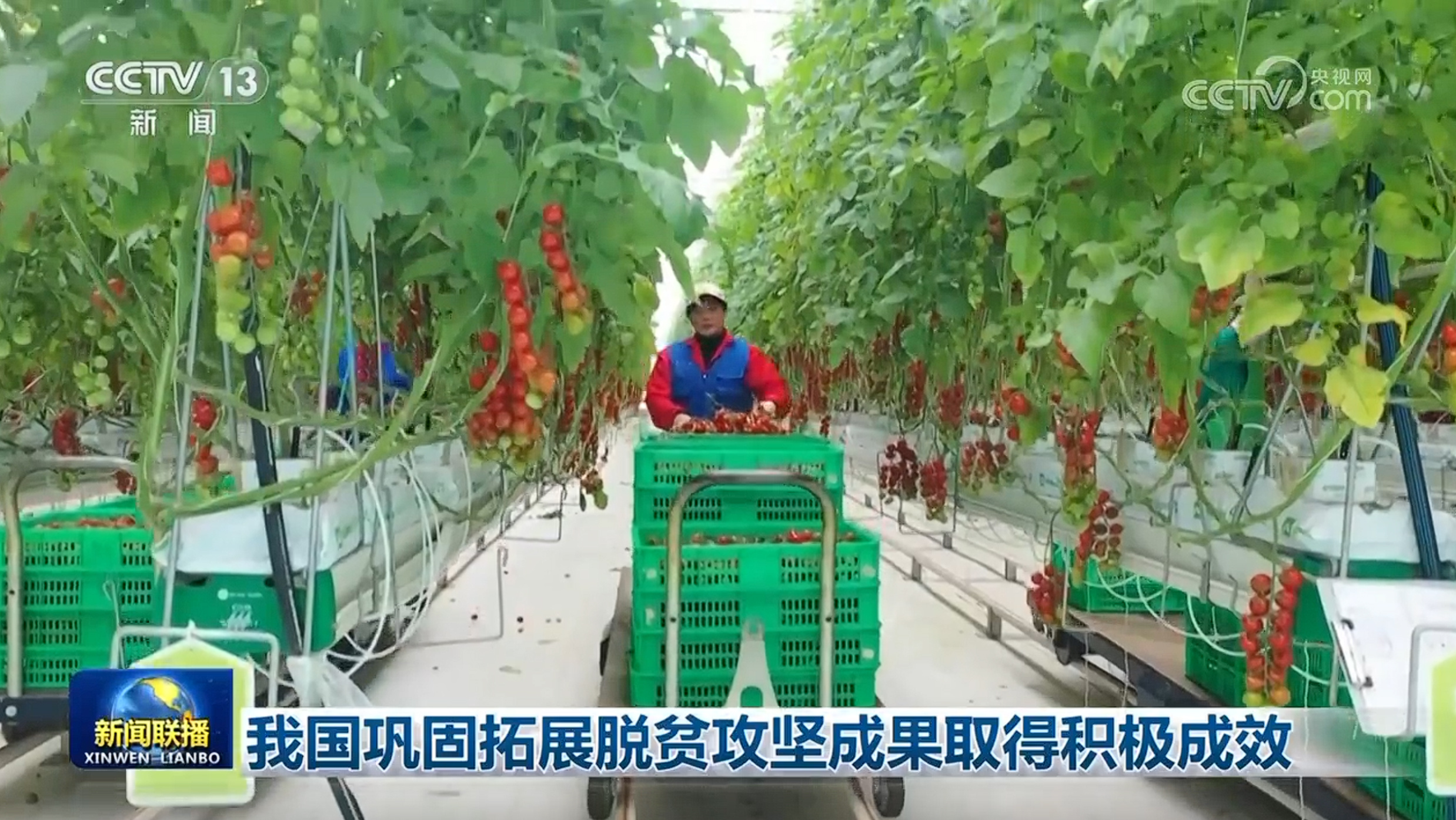 我国巩固拓展脱贫攻坚成果取得积极成效 我国巩固拓展脱贫攻坚成果取得积极成效