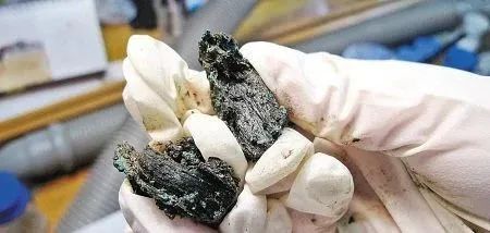 似曾相识,“复盘”古人的春游 似曾相识,“复盘”古人的春游