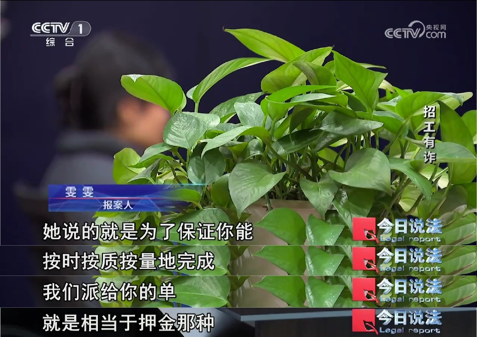 居家拍摄、轻松高薪？80余人陷入模特招聘陷阱……