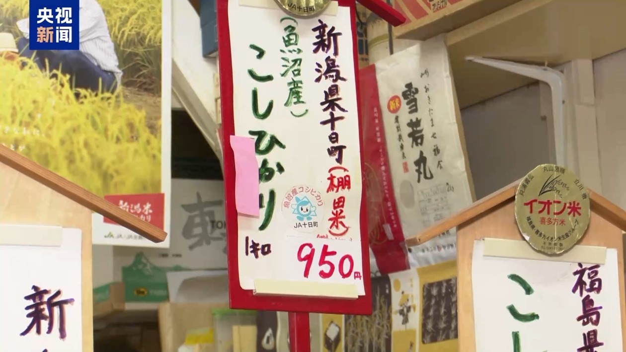 日本米价高涨 政府首次投放储备米能否“降温”? 日本米价高涨 政府首次投放储备米能否“降温”?