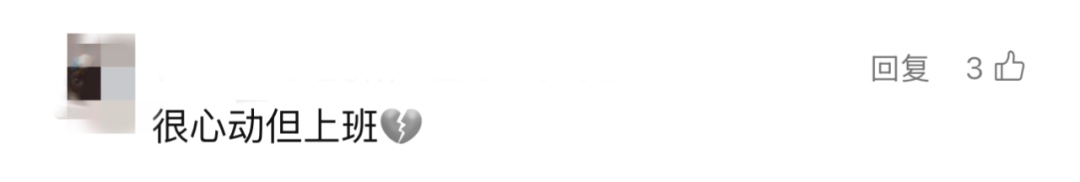 太突然!价格大跳水!上海不少市民心动了,专家:目前是最佳时机 太突然!价格大跳水!上海不少市民心动了,专家:目前是最佳时机