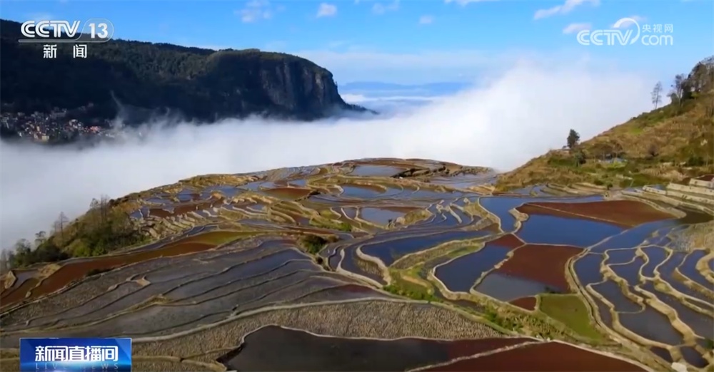 节后旅游价格“大跳水” 错峰出游正当时 你心动了吗？