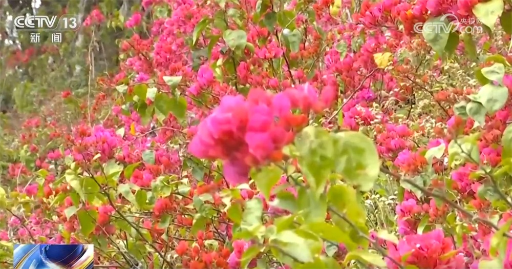 节后旅游价格“大跳水” 错峰出游正当时 你心动了吗？