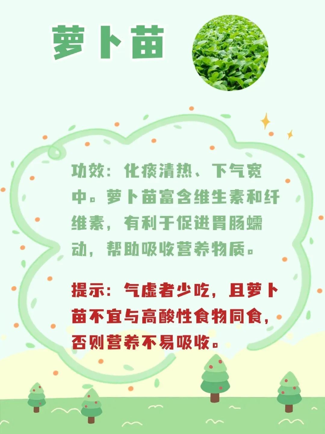 春天来了,这10种野菜营养高!但食用禁忌需注意—— 春天来了,这10种野菜营养高!但食用禁忌需注意——