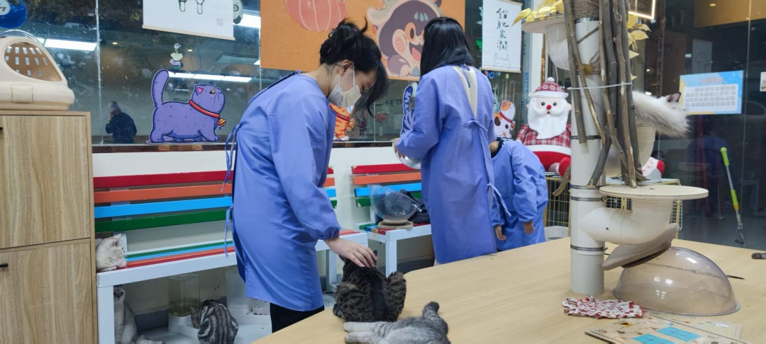 年轻人为何来了哈尔滨就舍不得走？解锁城市消费新活力——