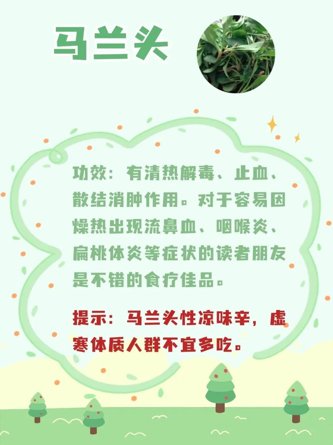 春天来了,这10种野菜营养高!但食用禁忌需注意—— 春天来了,这10种野菜营养高!但食用禁忌需注意——