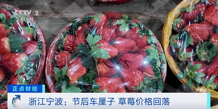 价格暴跌，“今年跌最狠”！上海网友：太香了！即将退出市场，想买的抓紧