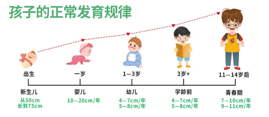 春天的“长高密码”，孩子拔高5~10cm不用愁！
