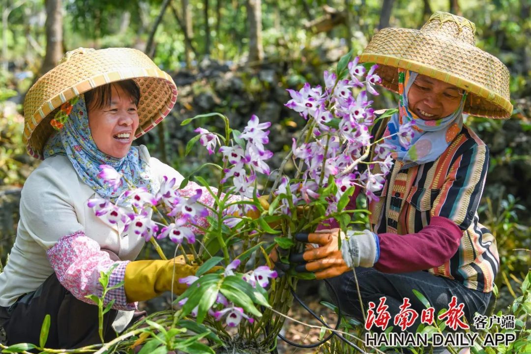 春游好去处！海南这些“网红村”，太出片