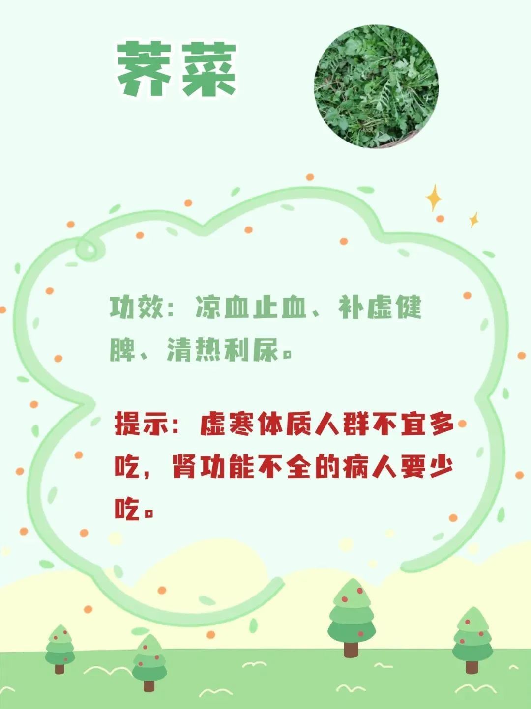 春天来了,这10种野菜营养高!但食用禁忌需注意—— 春天来了,这10种野菜营养高!但食用禁忌需注意——