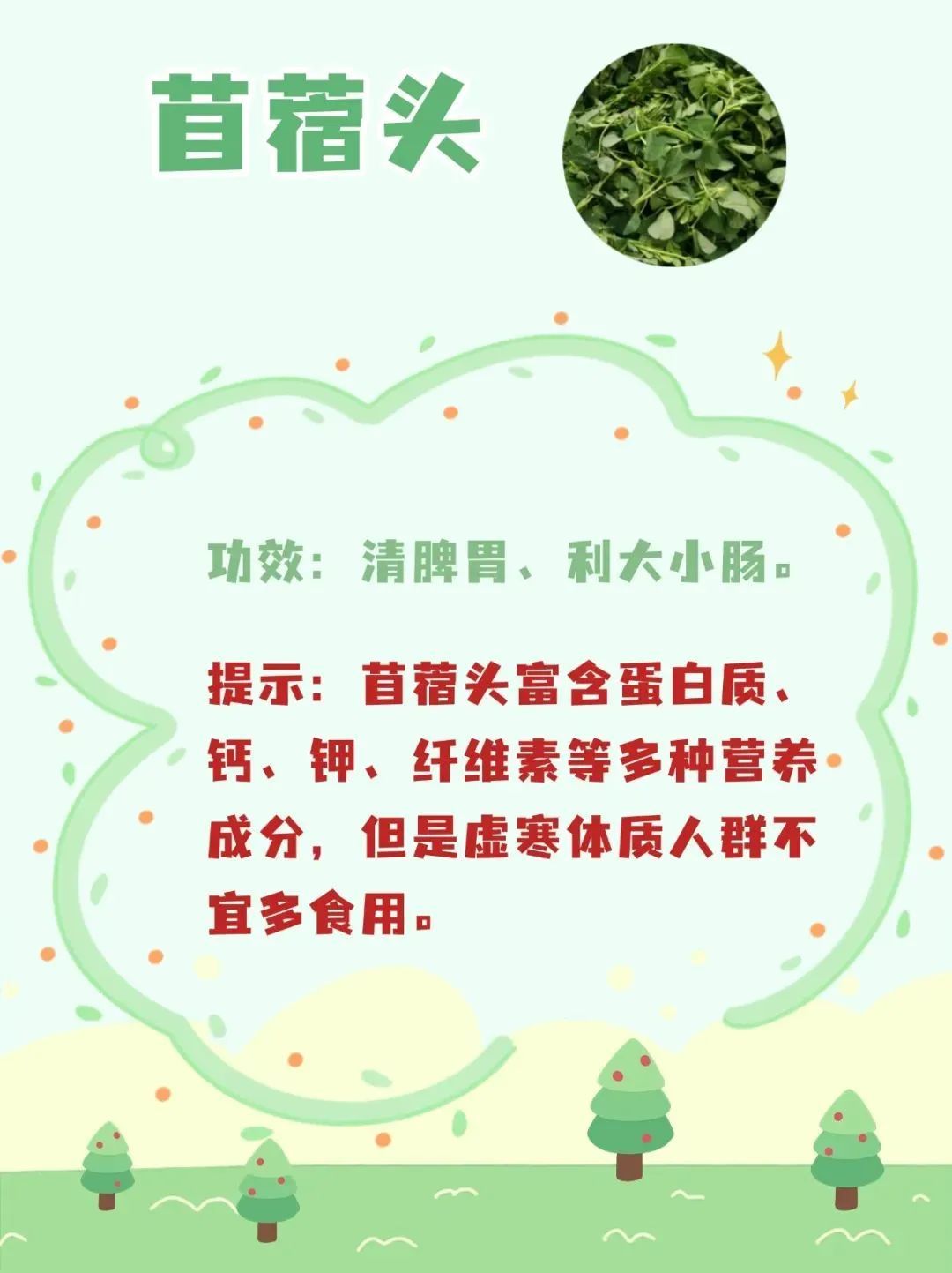 春天来了,这10种野菜营养高!但食用禁忌需注意—— 春天来了,这10种野菜营养高!但食用禁忌需注意——