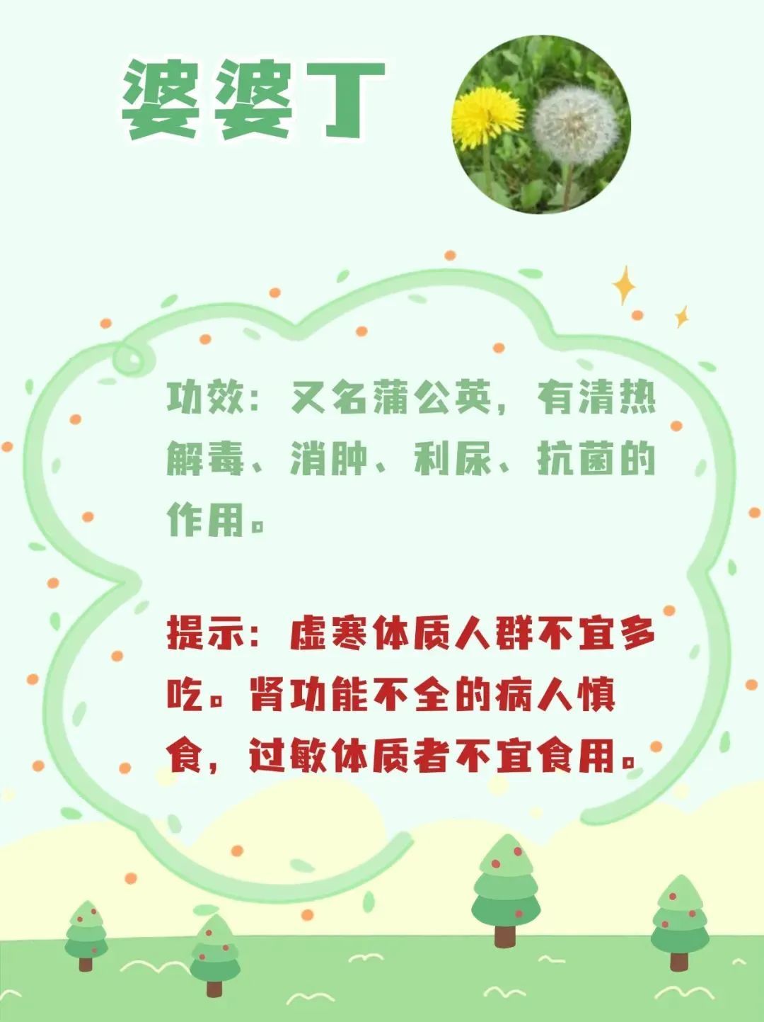 春天来了,这10种野菜营养高!但食用禁忌需注意—— 春天来了,这10种野菜营养高!但食用禁忌需注意——