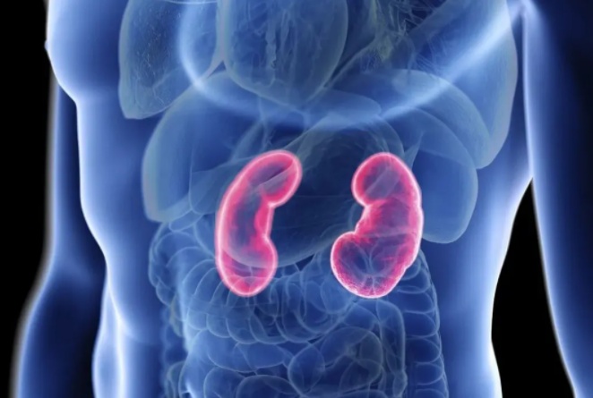 这5个伤肾行为,很多人都在做!紧急提醒→ 这5个伤肾行为,很多人都在做!紧急提醒→