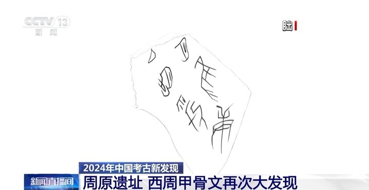 2024考古新发现：古人比你还会“记录生活”