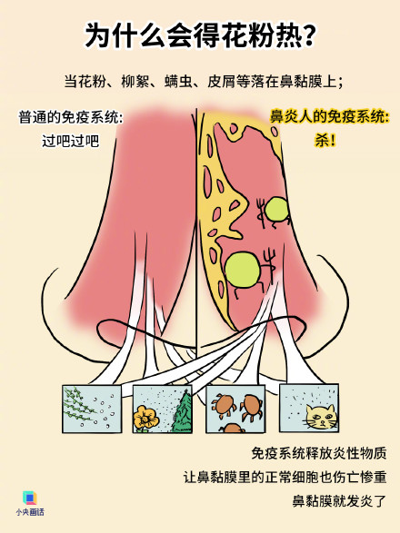 花粉过敏的人 现在就该用药预防了