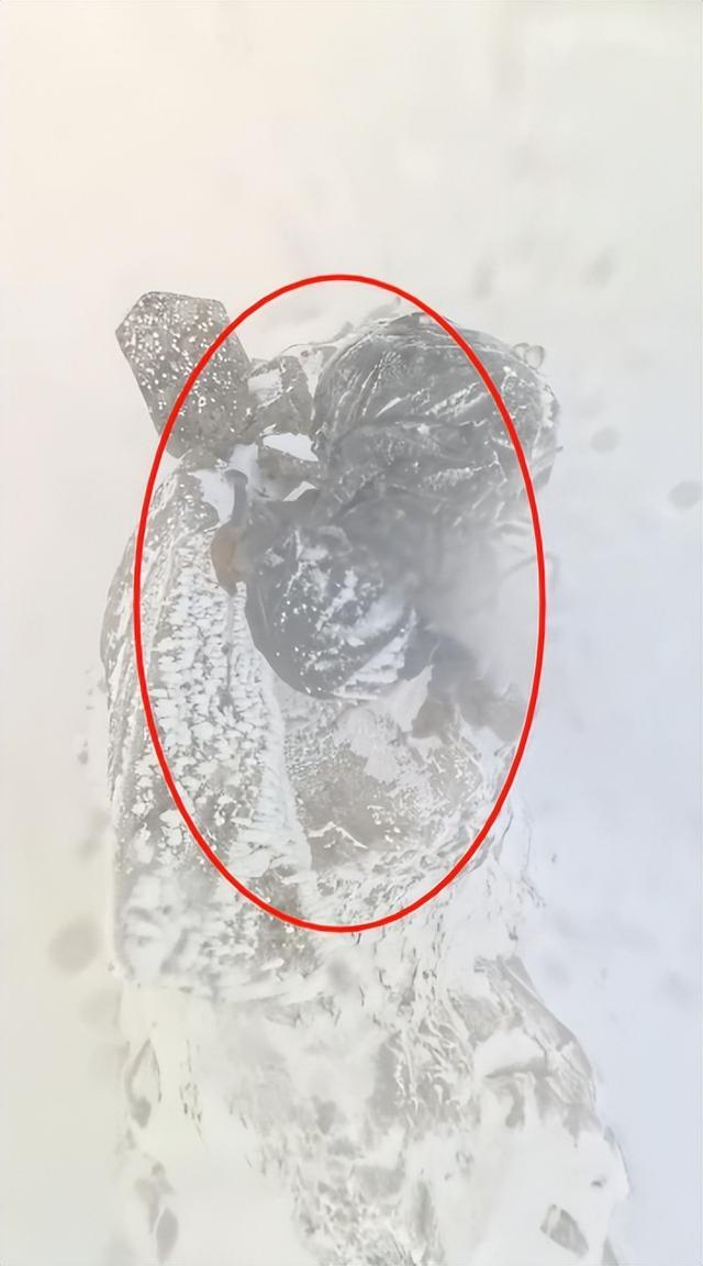 别去！小伙穿越鳌太线失联，差点儿未救回