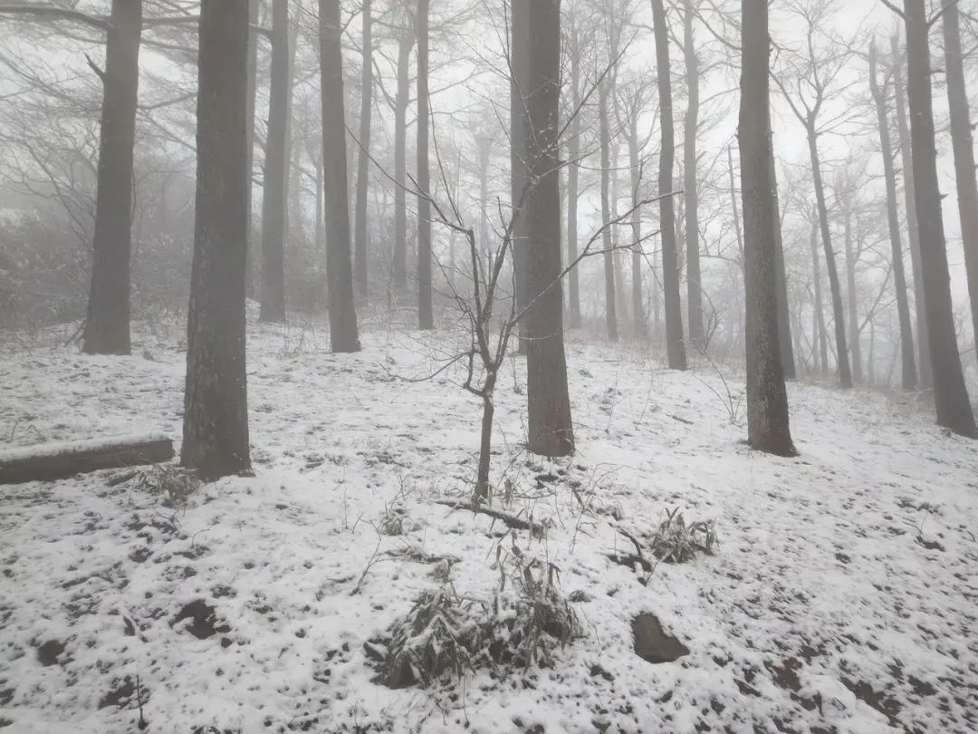 冷空气来袭！又要大降温！合肥会下雪吗？