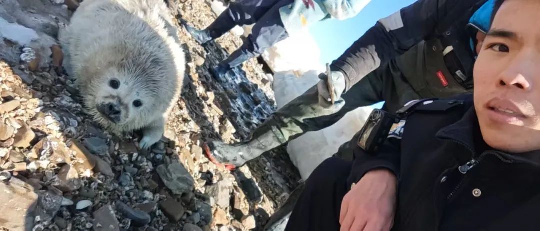 是谁家的“小萌兽”在冰面上emo啦？