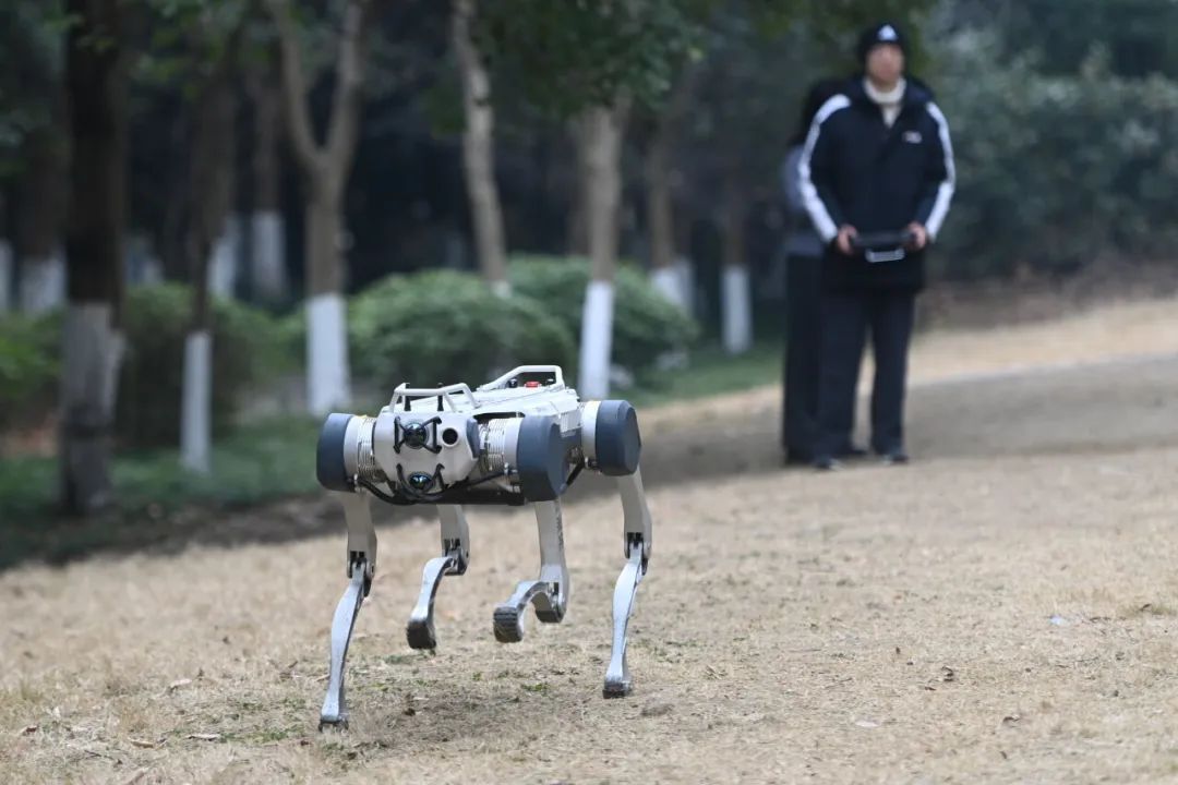 “杭州六小龙”爆火出圈!怎样投出更多“小龙”? “杭州六小龙”爆火出圈!怎样投出更多“小龙”?