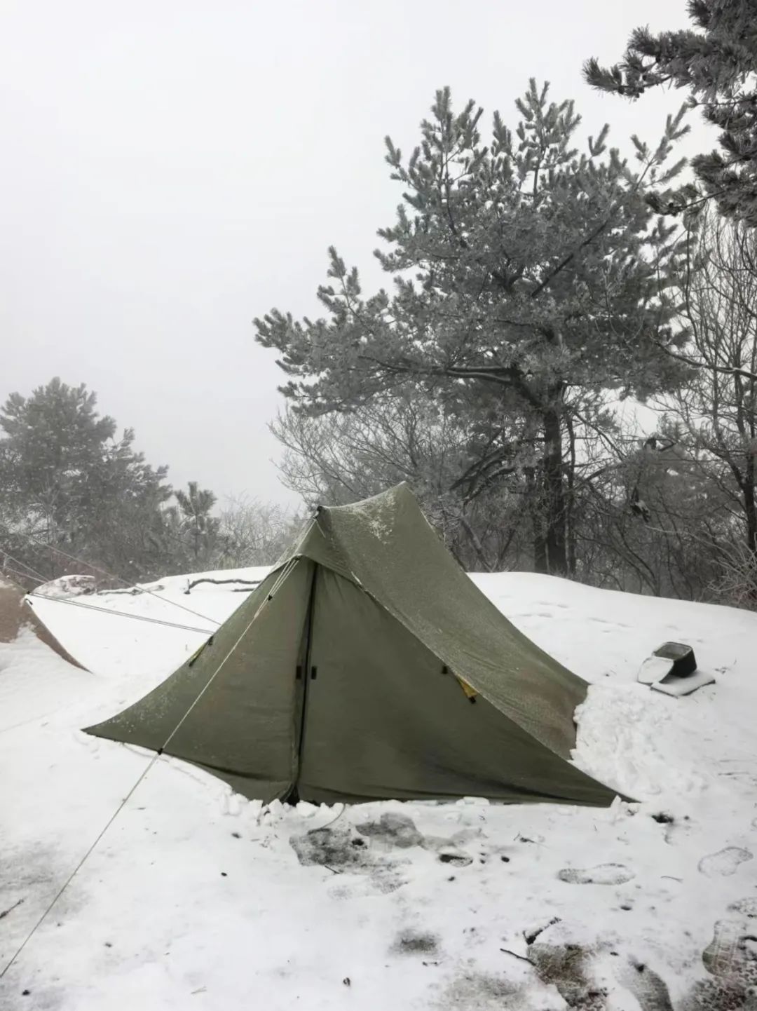 雨雪升级！刚刚确认，杭州市区要下雪了！