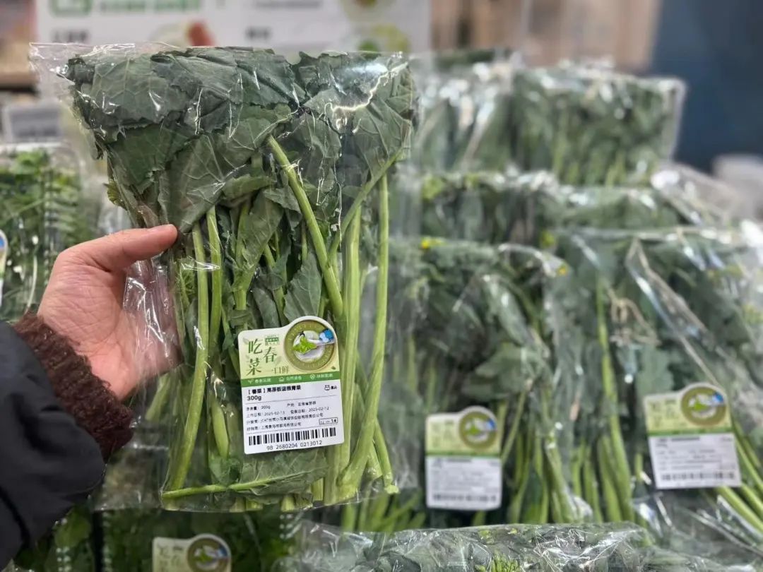 折耳根失宠？重庆春菜上新，买它的人比买折耳根的还多……