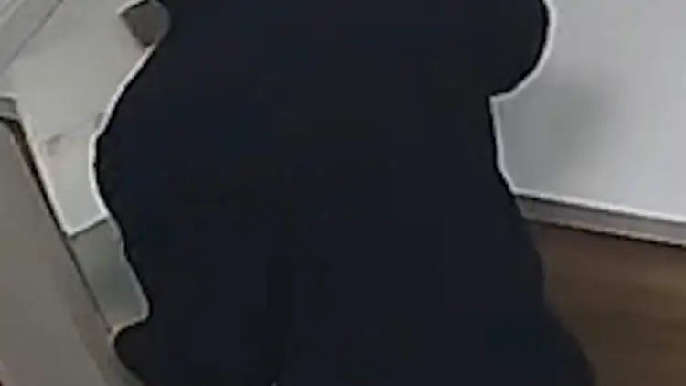 “不打钱就把猫扔了!”顺风车司机半途威胁用户,拿到钱后逃之夭夭…… “不打钱就把猫扔了!”顺风车司机半途威胁用户,拿到钱后逃之夭夭……