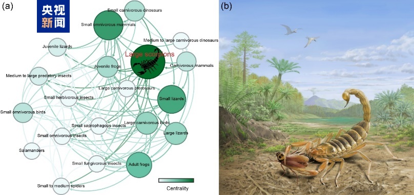 我国科学家发现中生代蝎化石——龙城热河蝎 我国科学家发现中生代蝎化石——龙城热河蝎