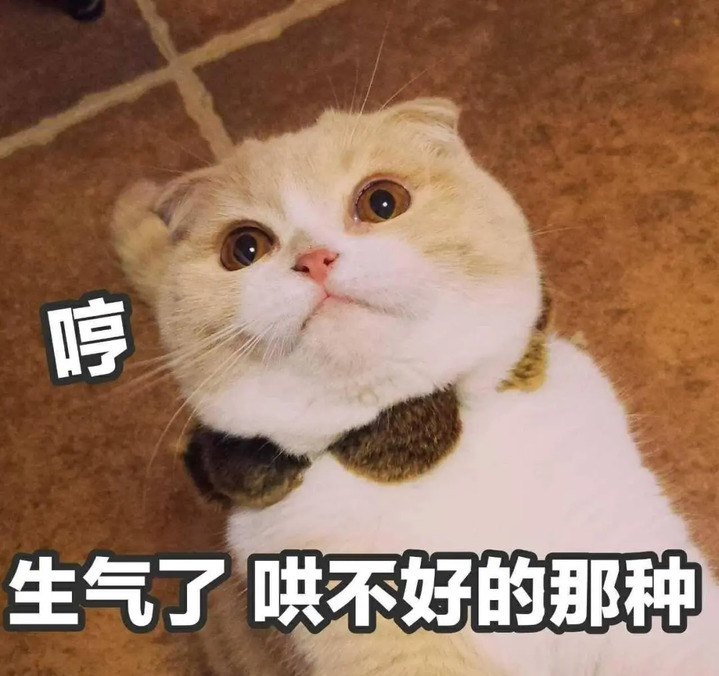 等了一个冬天，江苏的雪呢？！