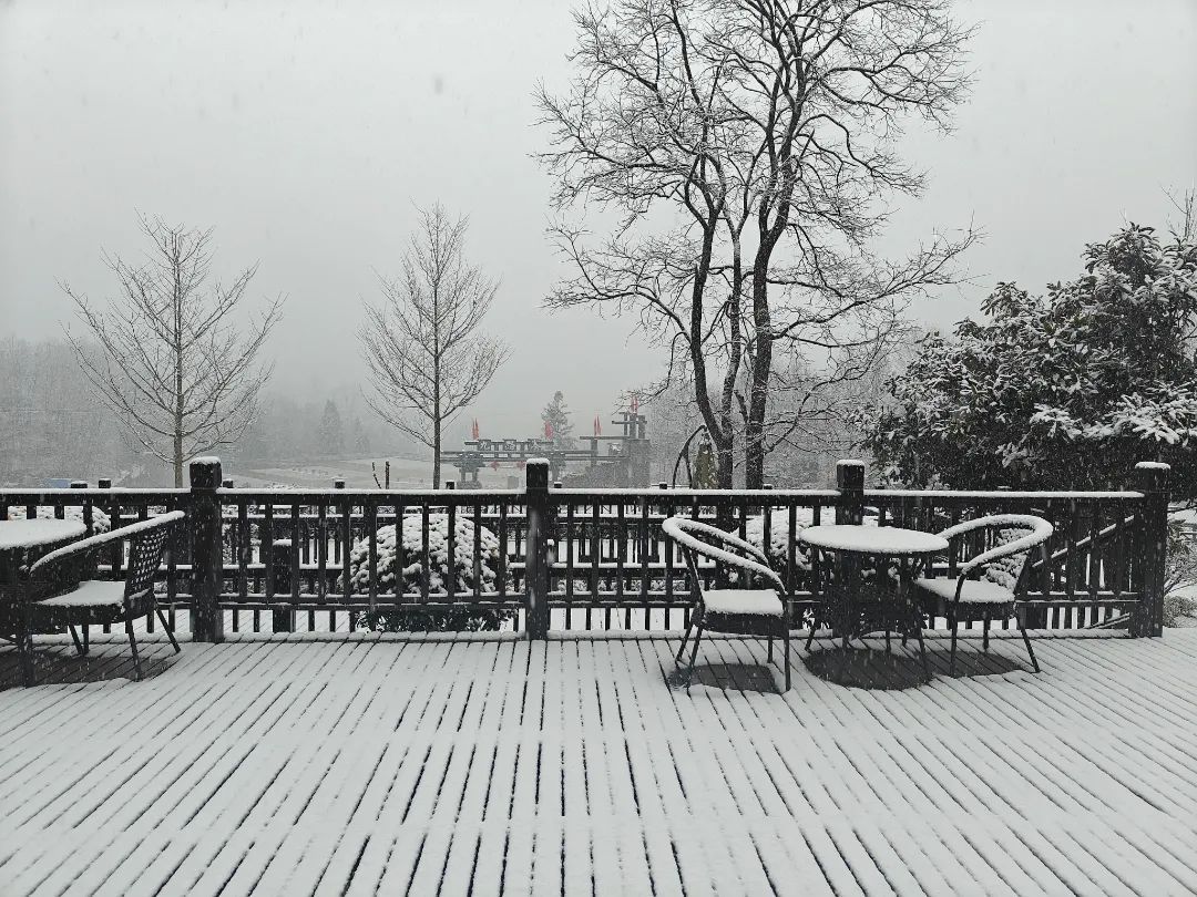 湖北今天下雪了！大风降温，还有雨雪……