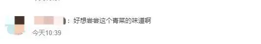 折耳根失宠？重庆春菜上新，买它的人比买折耳根的还多……