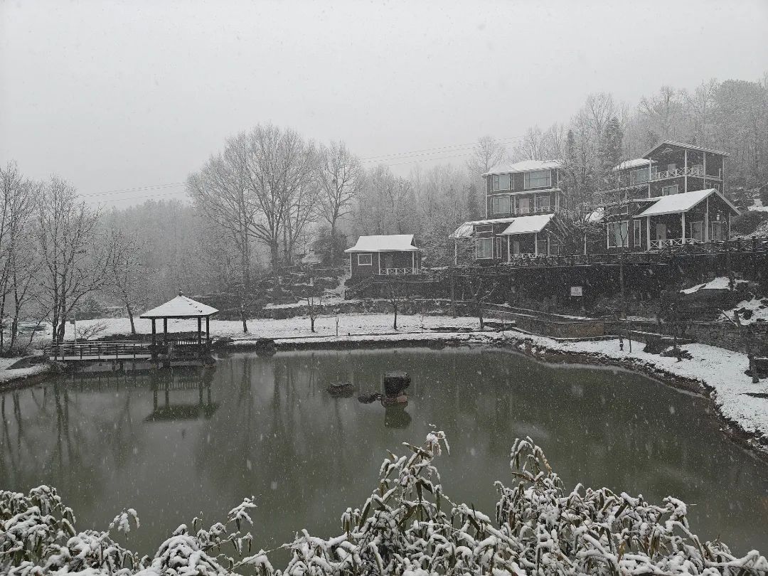 湖北今天下雪了！大风降温，还有雨雪……