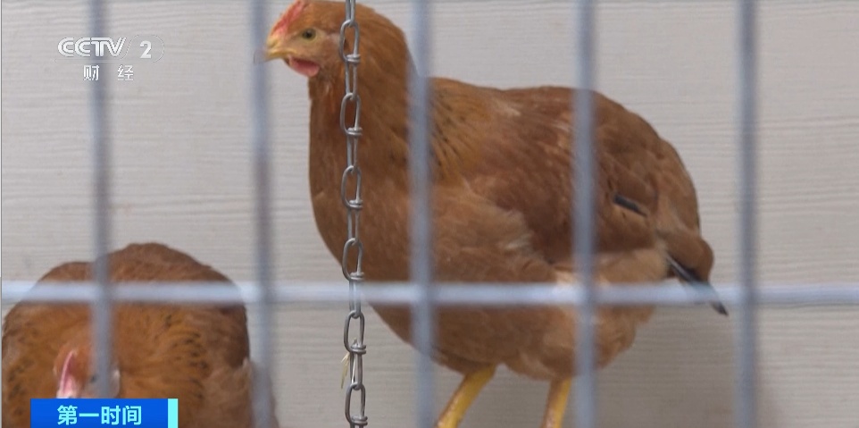 价格飙涨！发生了什么？