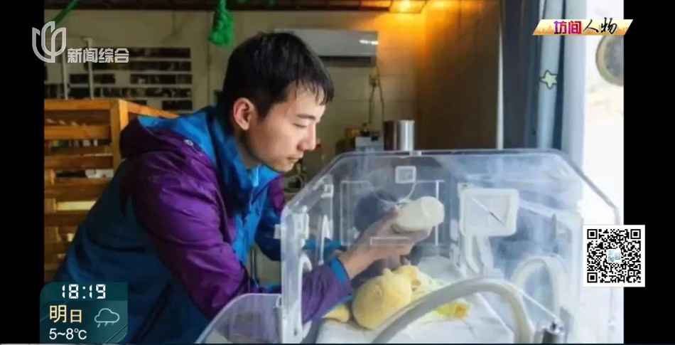 00后女生剑桥毕业,回上海找的工作让所有人意外!本人回应→ 00后女生剑桥毕业,回上海找的工作让所有人意外!本人回应→