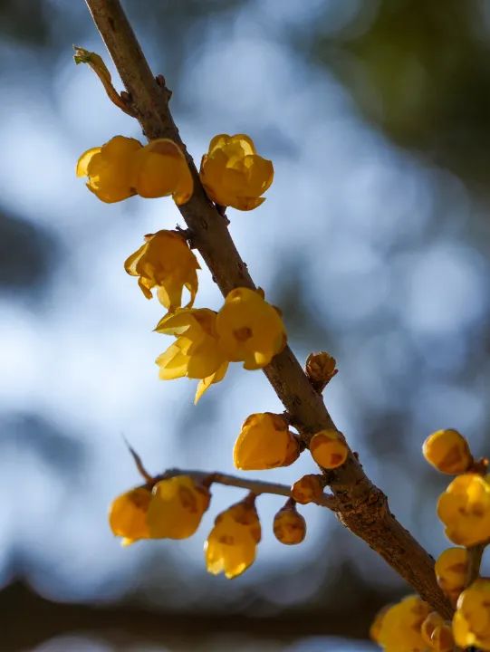 狠狠治愈!春天就要来北京爬这些山! 狠狠治愈!春天就要来北京爬这些山!